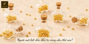 Người mới bắt đầu đầu tư vàng như thế nào?
