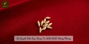 Bí Quyết Tích Lũy Vàng Từ 500.000 Đồng/Tháng
